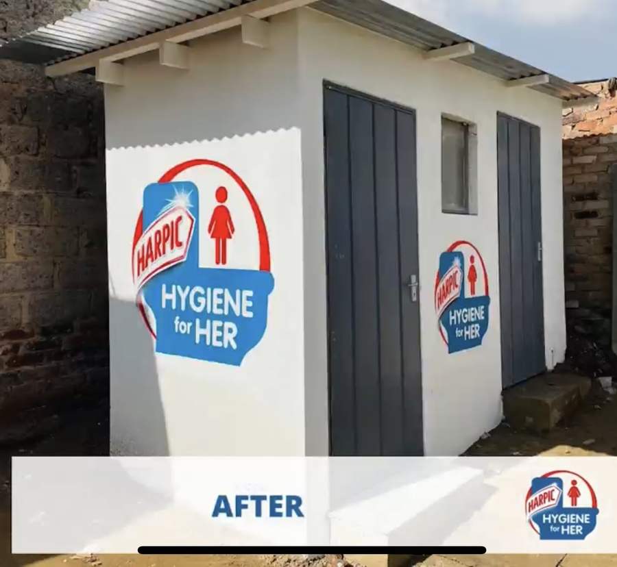 Rebuilt and painted Harpic Hygiene for Her facility handed back to the household